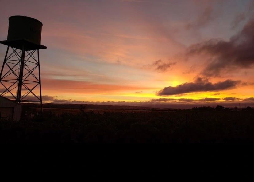 Leisure Street Winery Winery, Tasting, Wine Country